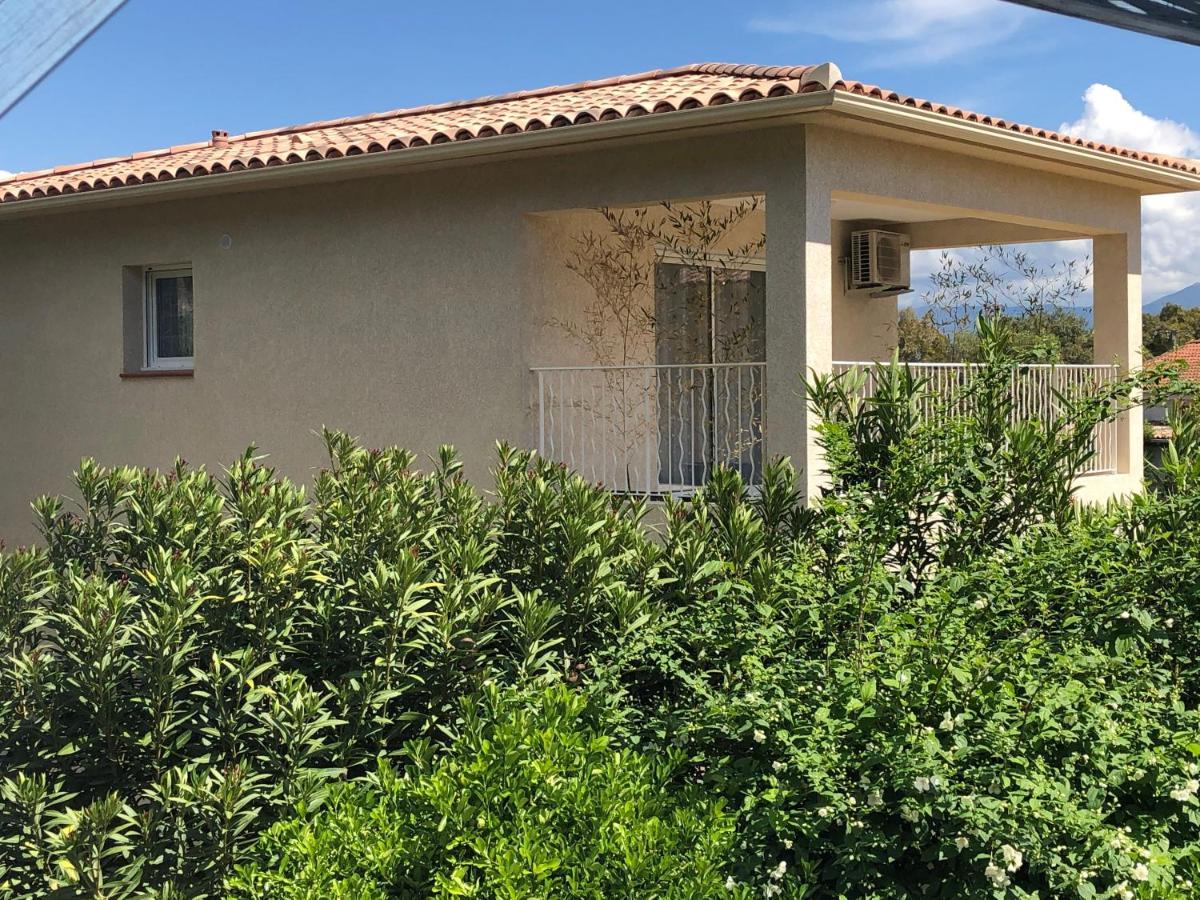L'Alivu Villa Ajaccio  Eksteriør billede