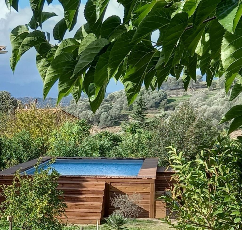 L'Alivu Villa Ajaccio  Eksteriør billede